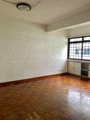 Joo Chiat Mansions (D15), Apartment #170243872